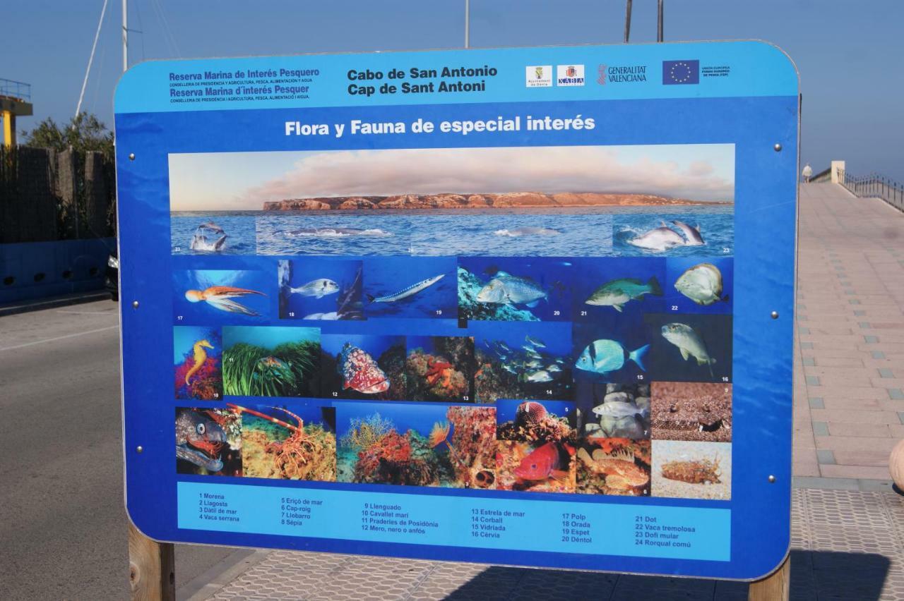 Denia Apartamento Las Marinas El Palmar מראה חיצוני תמונה